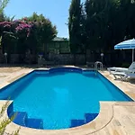 Oasis Tasin Zarafeti,modern Rahatlik *