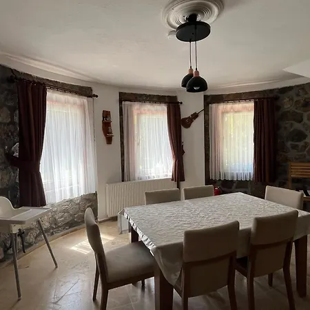 וילה Oasis Tasin Zarafeti,modern Rahatlik