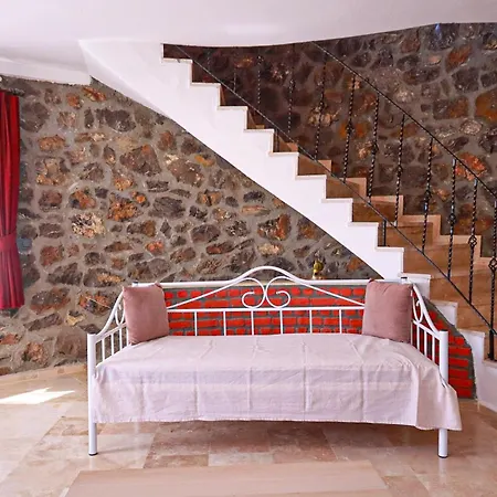 Oasis Tasin Zarafeti,modern Rahatlik דלמן
