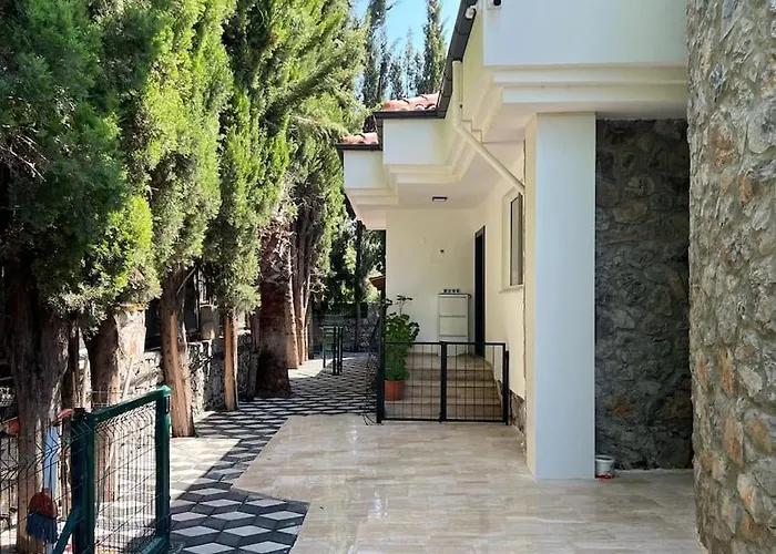 Вилла Oasis Tasin Zarafeti,modern Rahatlik