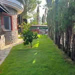 Oasis Tasin Zarafeti,modern Rahatlik Dalaman