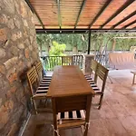 Oasis Tasin Zarafeti,modern Rahatlik